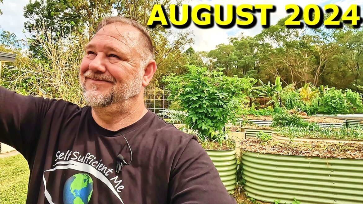 Full Raised Bed Vegetable Garden Tour August 2024 Full Raised Bed Vegetable Garden Tour August 2024