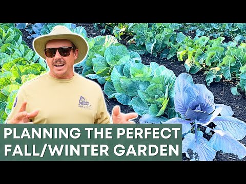 Secrets to Fall Vegetable Gardening (And When to Plant!) Secrets to Fall Vegetable Gardening (And When to Plant!)
