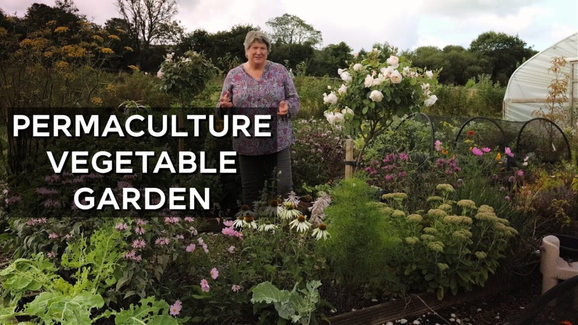 Abundant and Beautiful Vegetable Garden | Homestead garden tour Abundant and Beautiful Vegetable Garden | Homestead garden tour