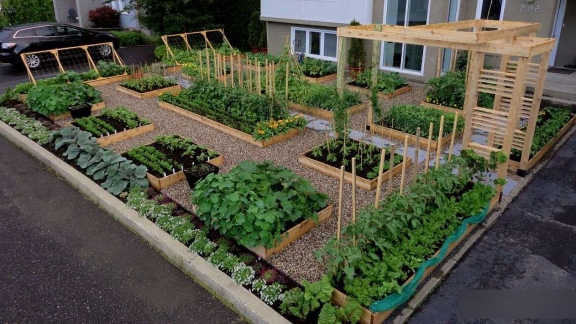 CREATIVE! 100+ VEGETABLES GARDEN DESIGN IDEAS | GUIDE FOR OUTDOOR BACKYARD VEGETABLE GARDENING TIPS CREATIVE! 100+ VEGETABLES GARDEN DESIGN IDEAS | GUIDE FOR OUTDOOR BACKYARD VEGETABLE GARDENING TIPS