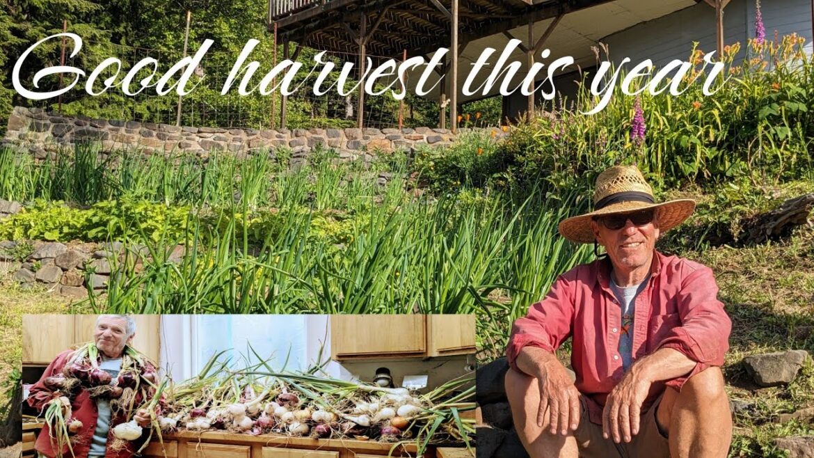 AUGUST VEGETABLE GARDEN WITH FLOWERS. THE OREGONIAN