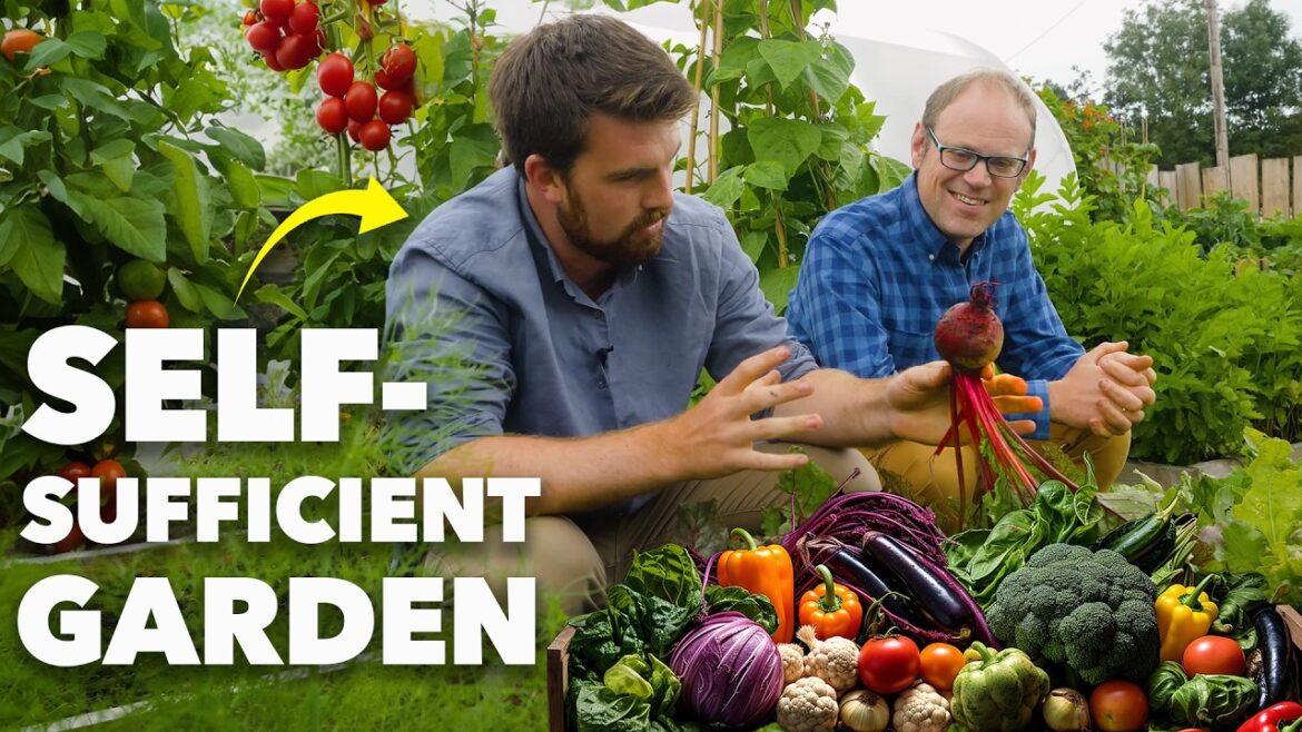 Self-Sufficient Garden: How he Grew 1,300lbs/580kg+ of Food (Huw Richards) Self-Sufficient Garden: How he Grew 1,300lbs/580kg+ of Food (Huw Richards)