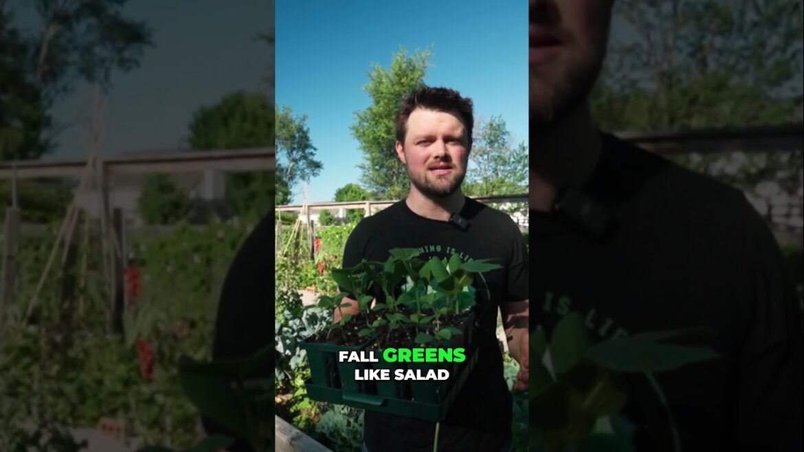 5 Crops to Plant Today! #plantingtips for a your #vegetablegarden