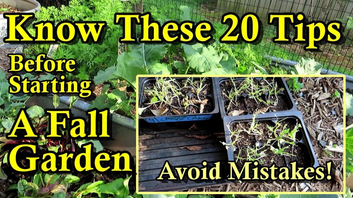 20 Tips to Know Before Starting Your Fall Cool Crop Vegetable Garden: E-1 Fall Gardening - A Series