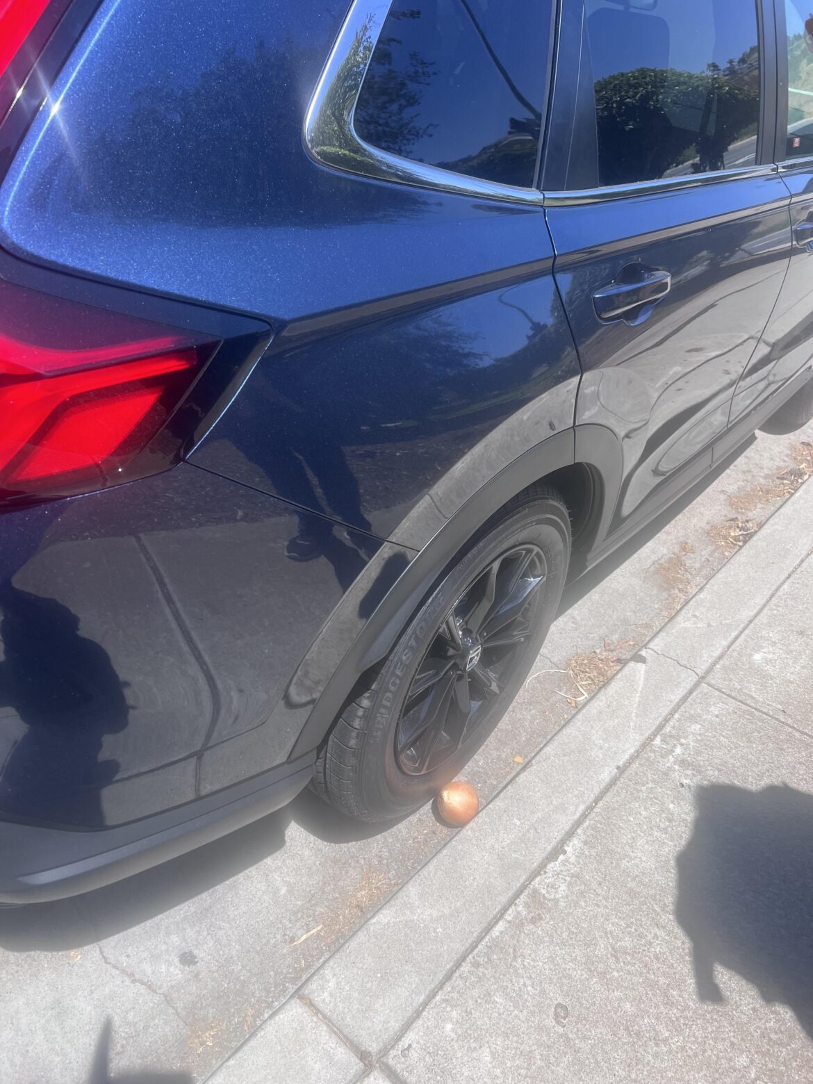 Ok which one of you was it?