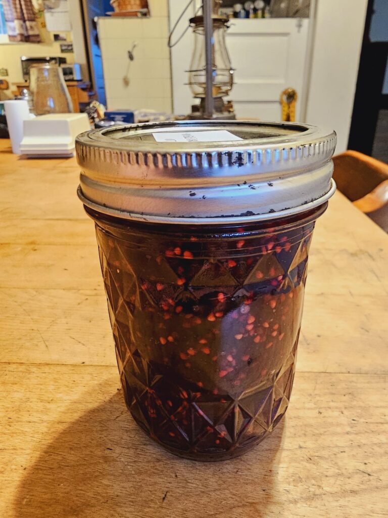 Was able to forage 18 cups of wild blackberries from the blackberry patch on my property. I made that into 16 jars of jam.