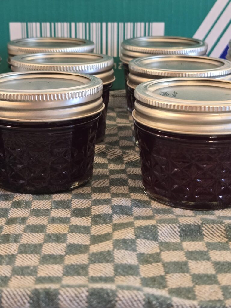 Plum jam! (No pectin) Plum jam! (No pectin)