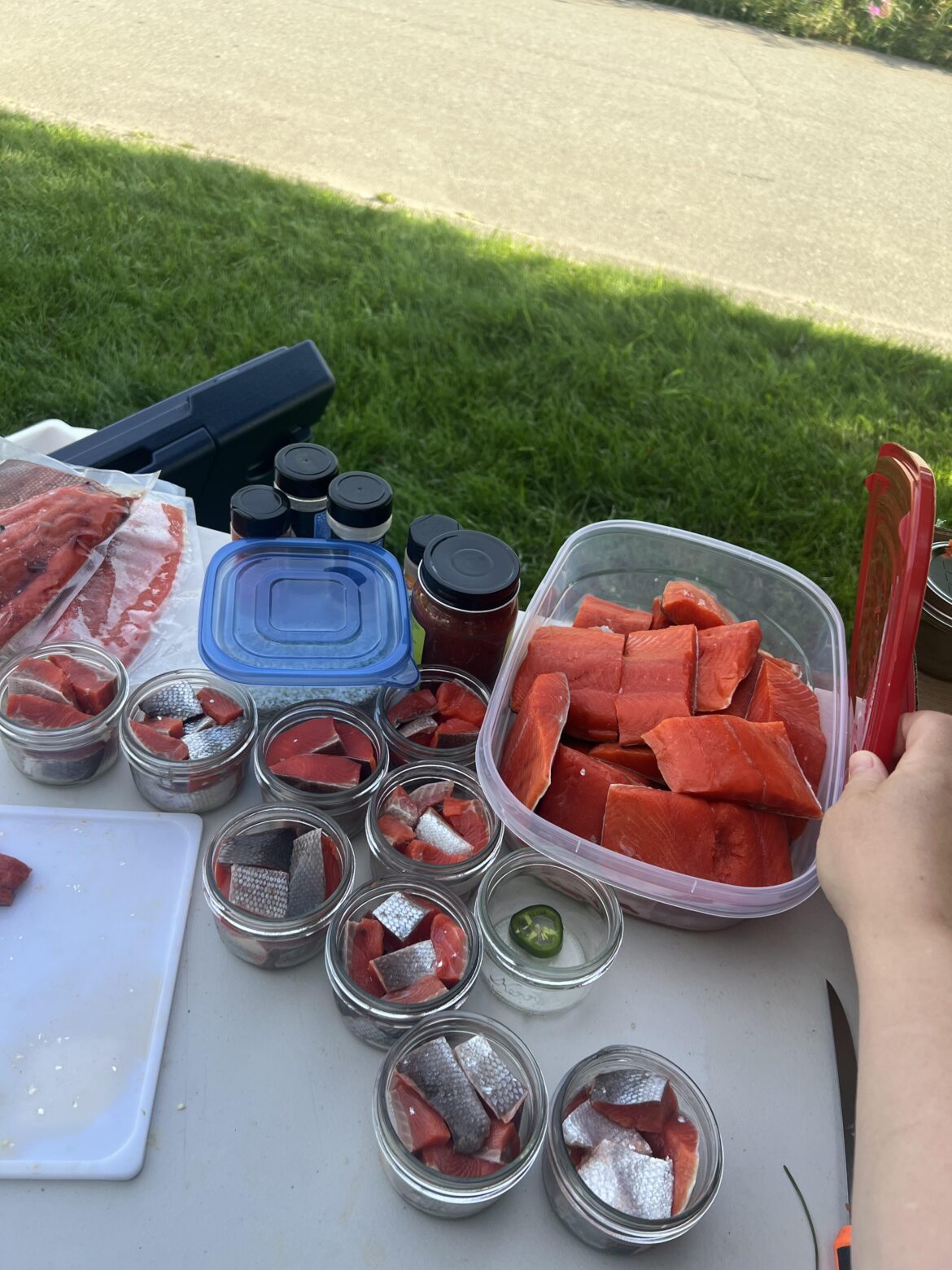 Gotta LOVE salmon season!!!