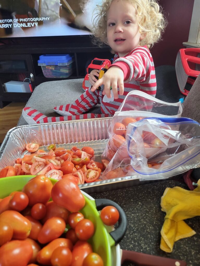 I'm a stay at home mom with two young children. Figured the best way to cut all my tomatoes was to bring it all I the living room. My son just sat there supervising.