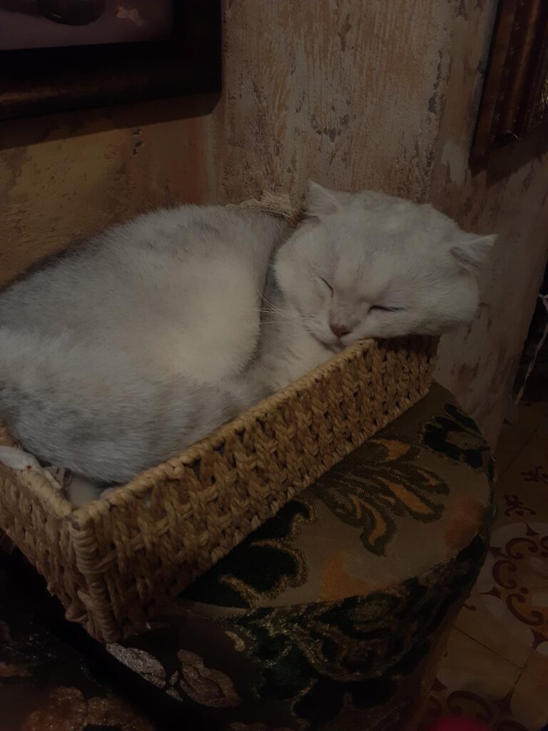 Vintage style coffee shop!