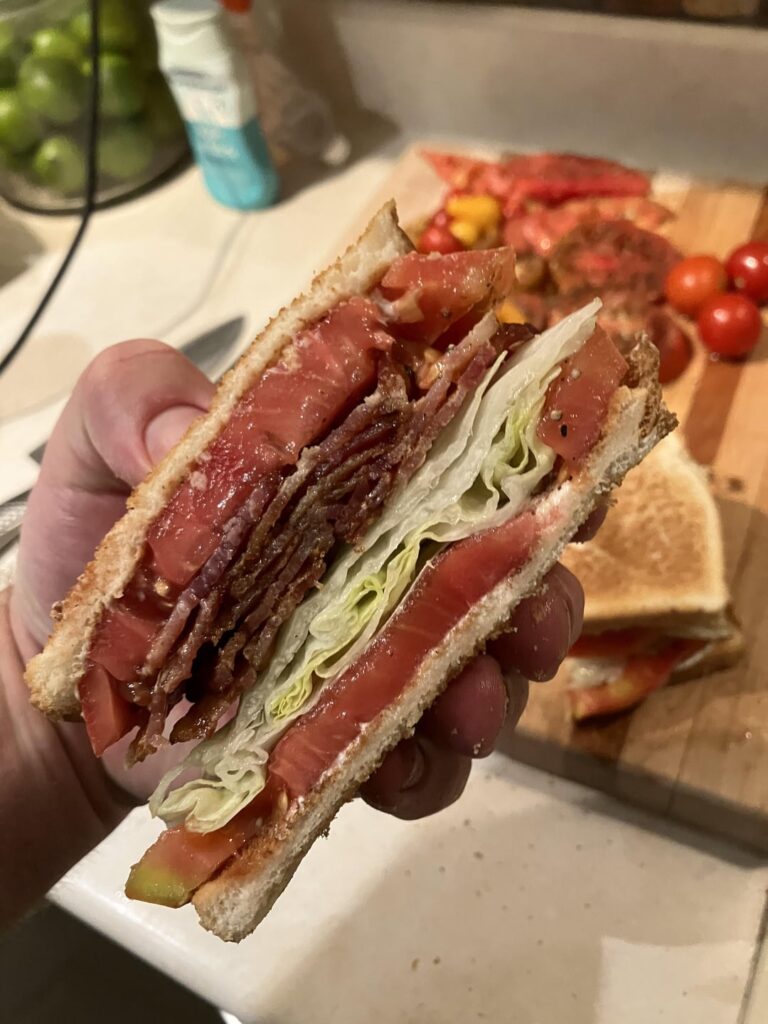 Tomato sandwich, with bacon and lettuce