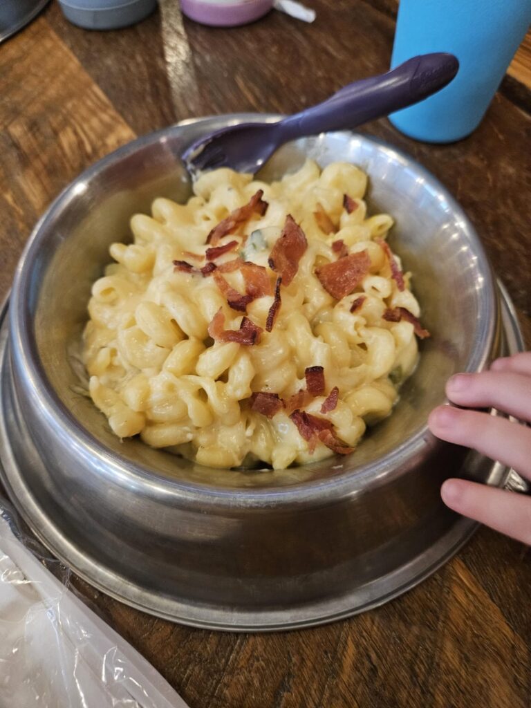 Our food was served in dog food bowls at a bar/grill/dog park. At Pub Dog in Colorado Springs