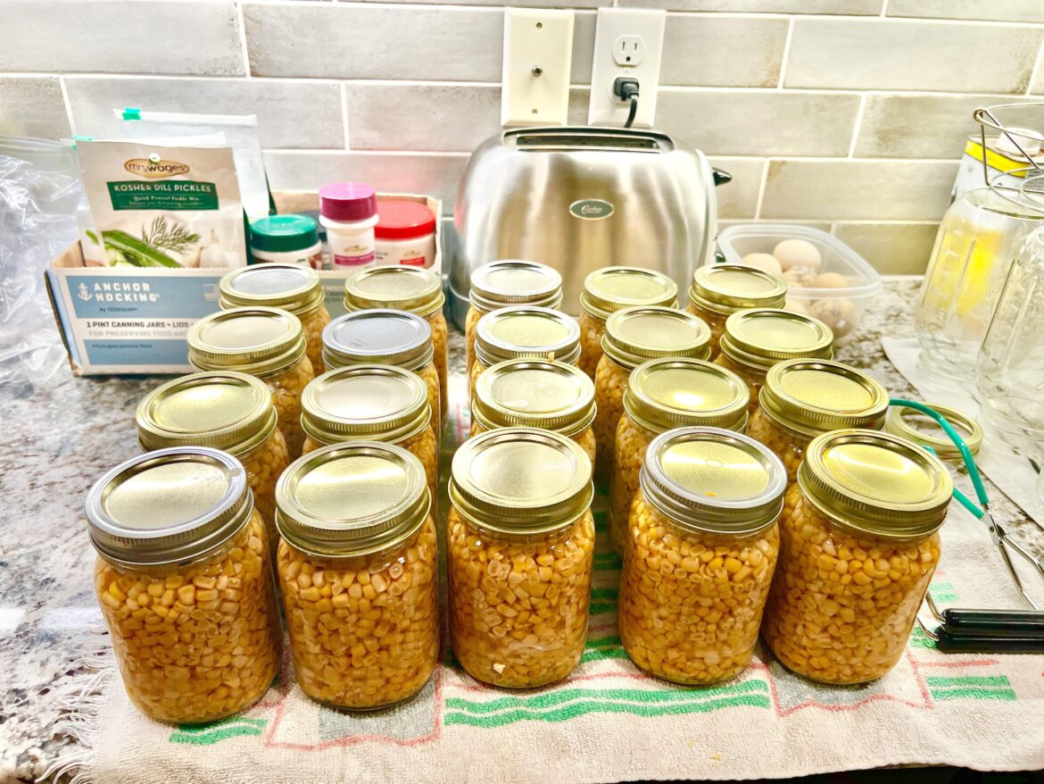 First time using a pressure canner. 19 of my first 20 jars sealed.  👍