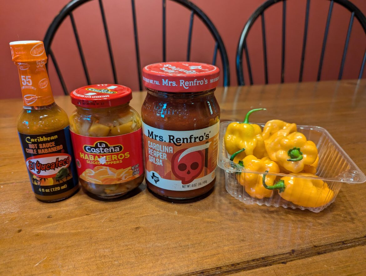 Fun stuff, neat stuff...