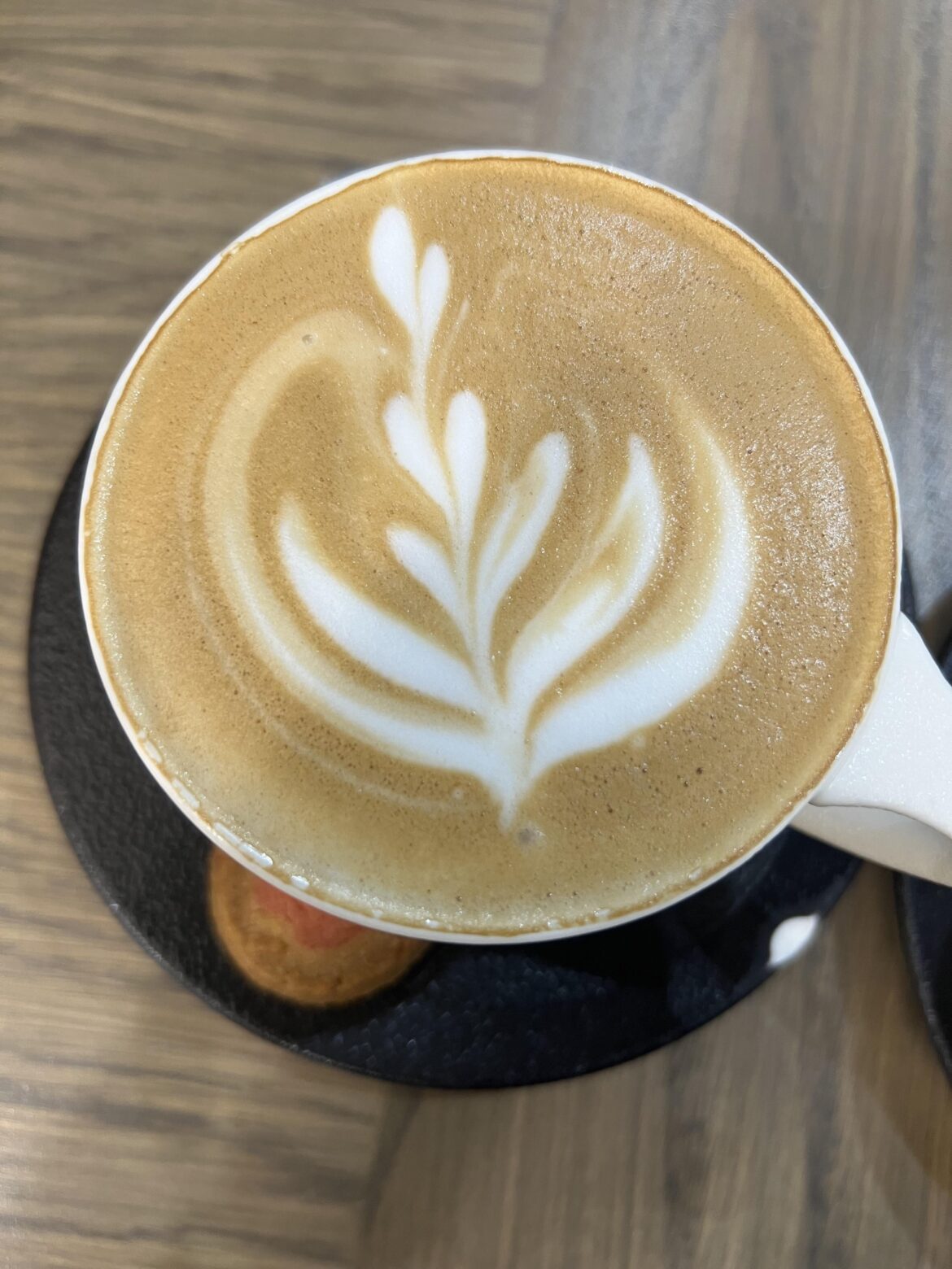 what plant is this🤔