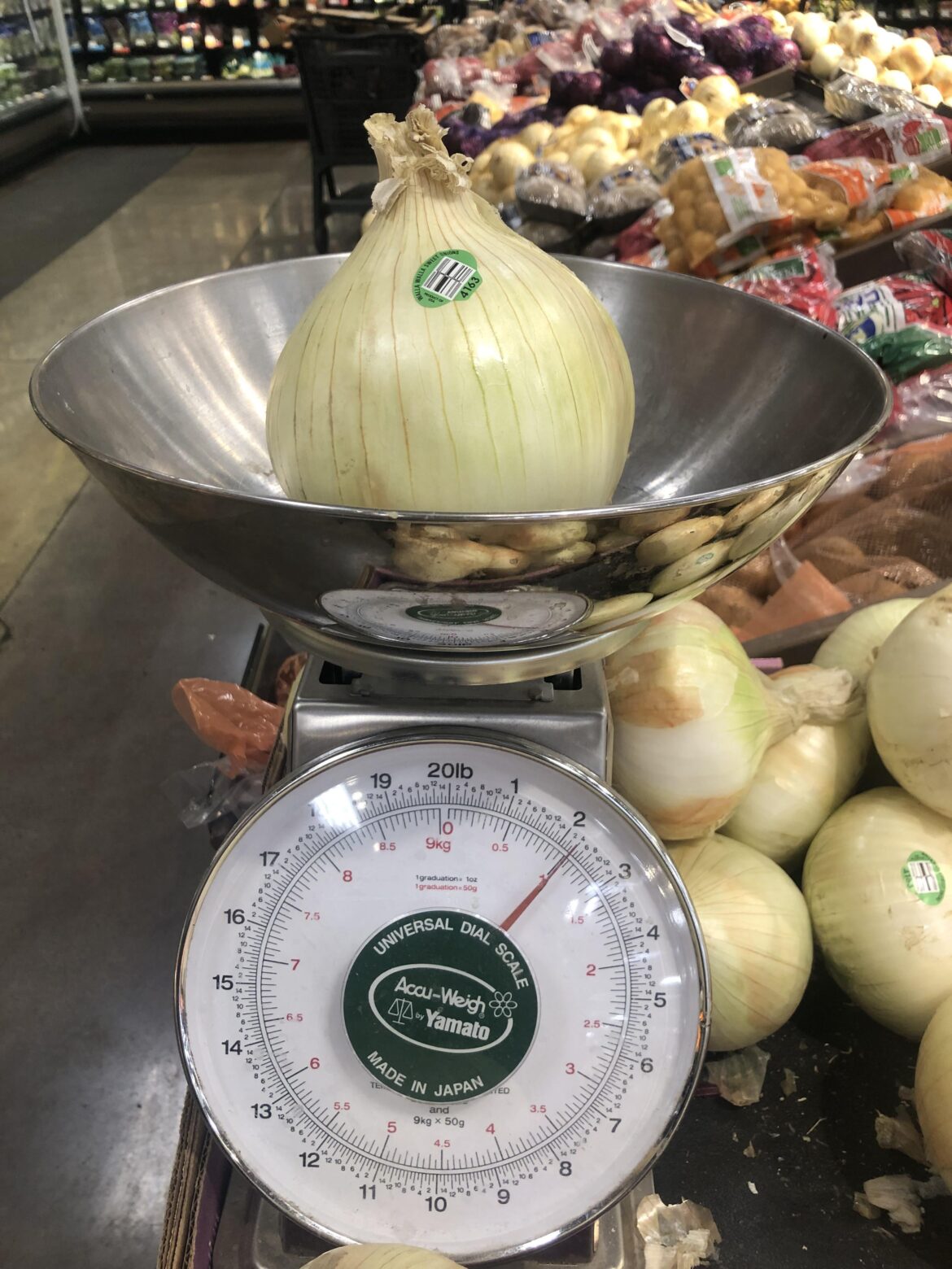 big onion