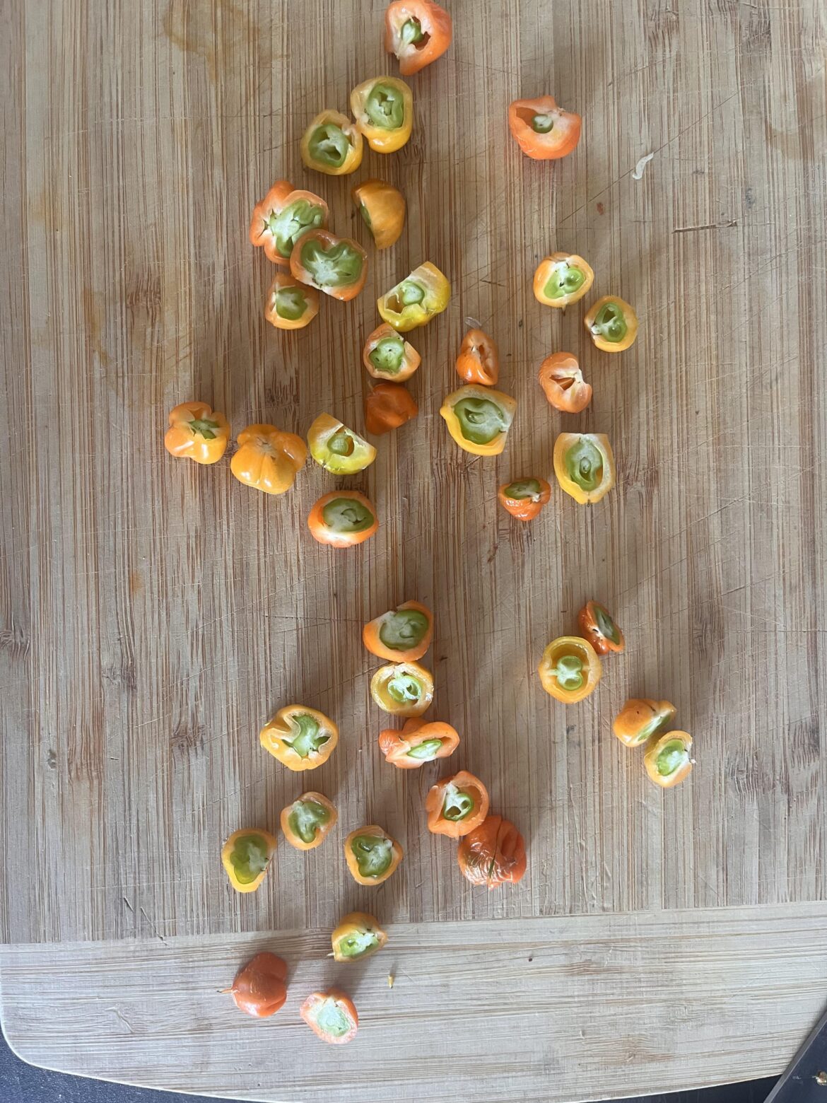 Pregnant Peppers