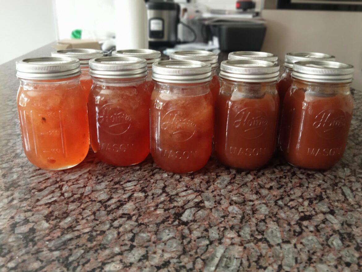 Thank you for all the advice! Thank you for all the advice!