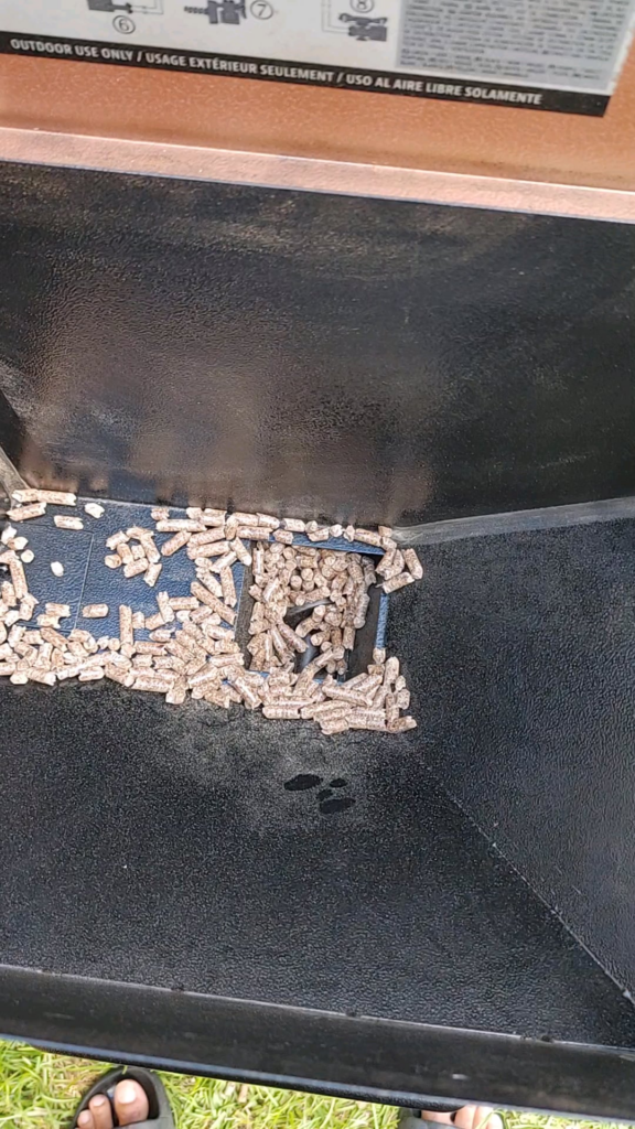 Pit Boss Auger Noise Normal?