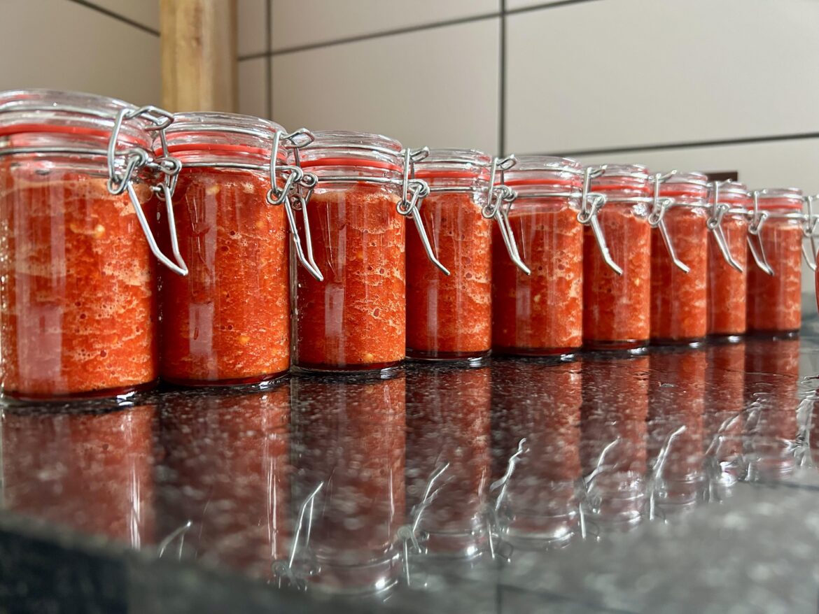 Made sambal from the first pepper harvest of the year