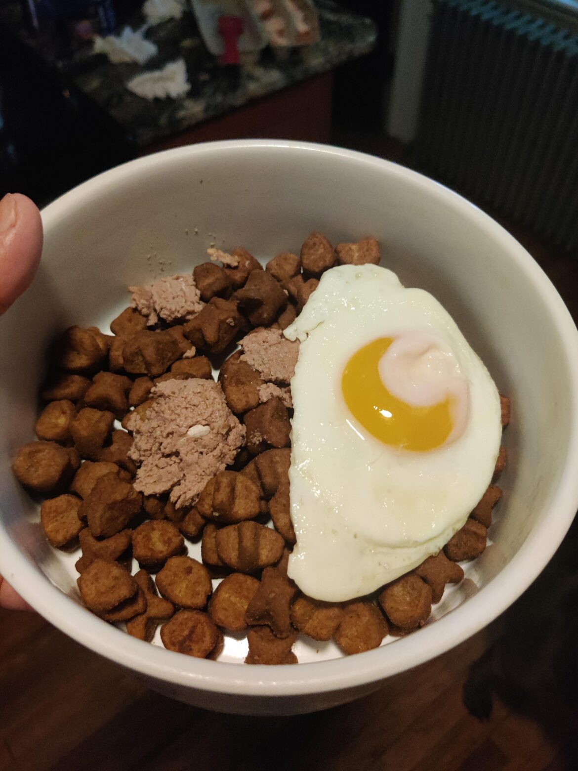 A Dog's Breakfast