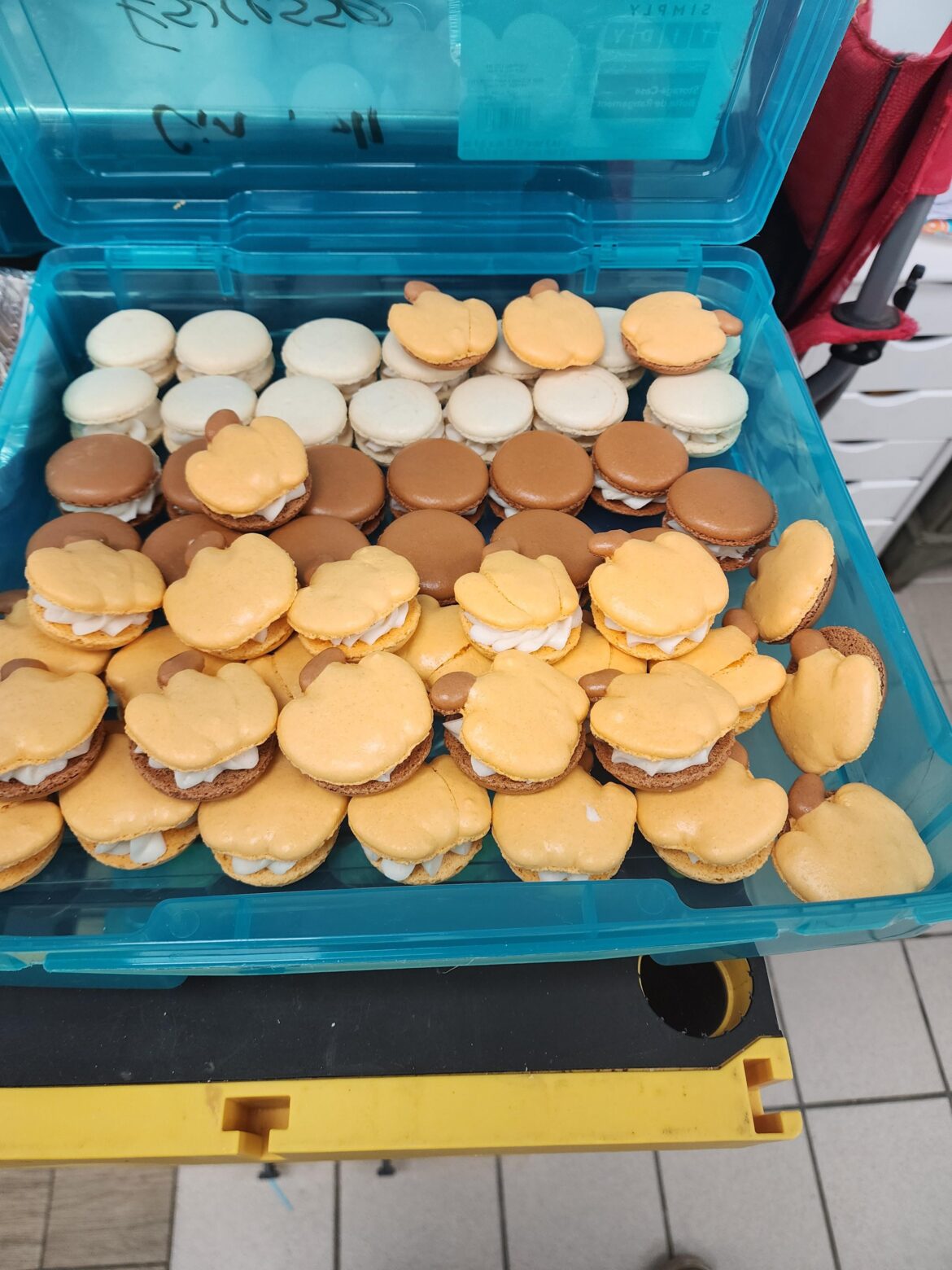 First attempt at pumpkin shaped macarons.