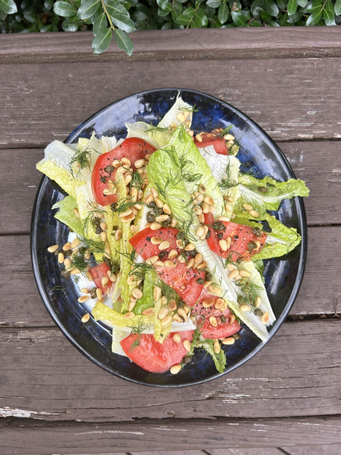 Fried caper salad - romaine, tomato, fried caper, dill, pine nuts, labneh