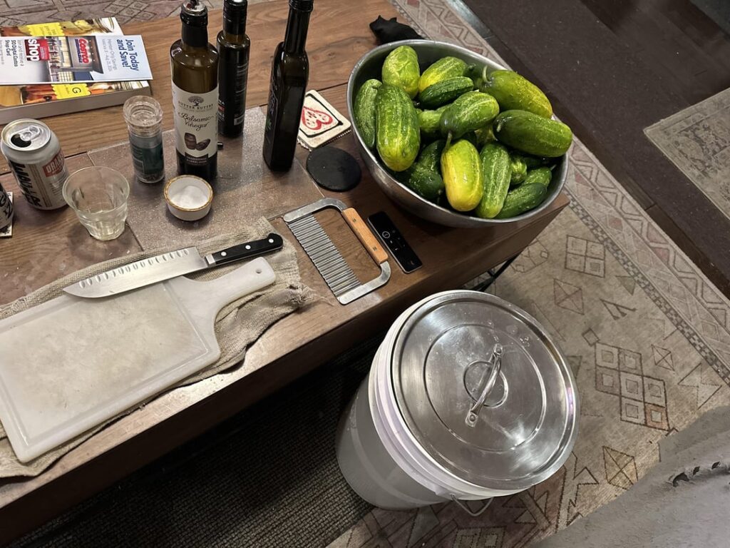 got through 30lbs of boston cucumbers. i was away for a few days, so i don’t usually let them get this unruly. but with some pickle crisp, these bad boys are some of my friends’ favorites. have fun, y’all!