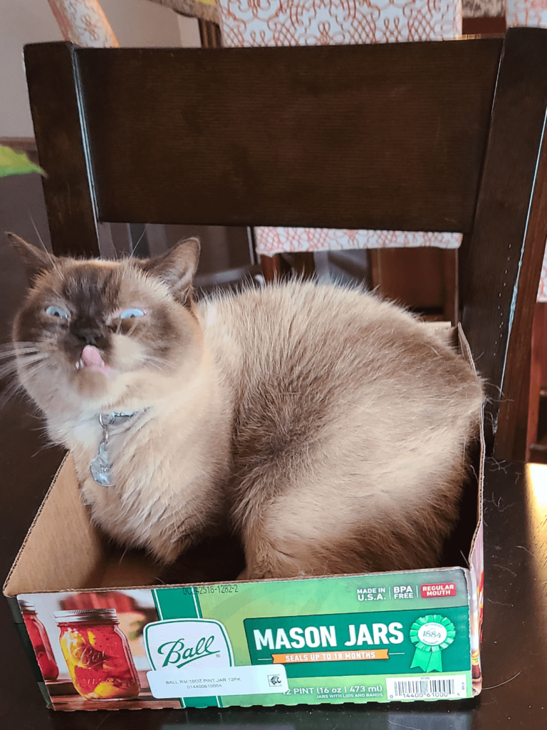 What unique ways are you using peach syrup leftover from hot packing?