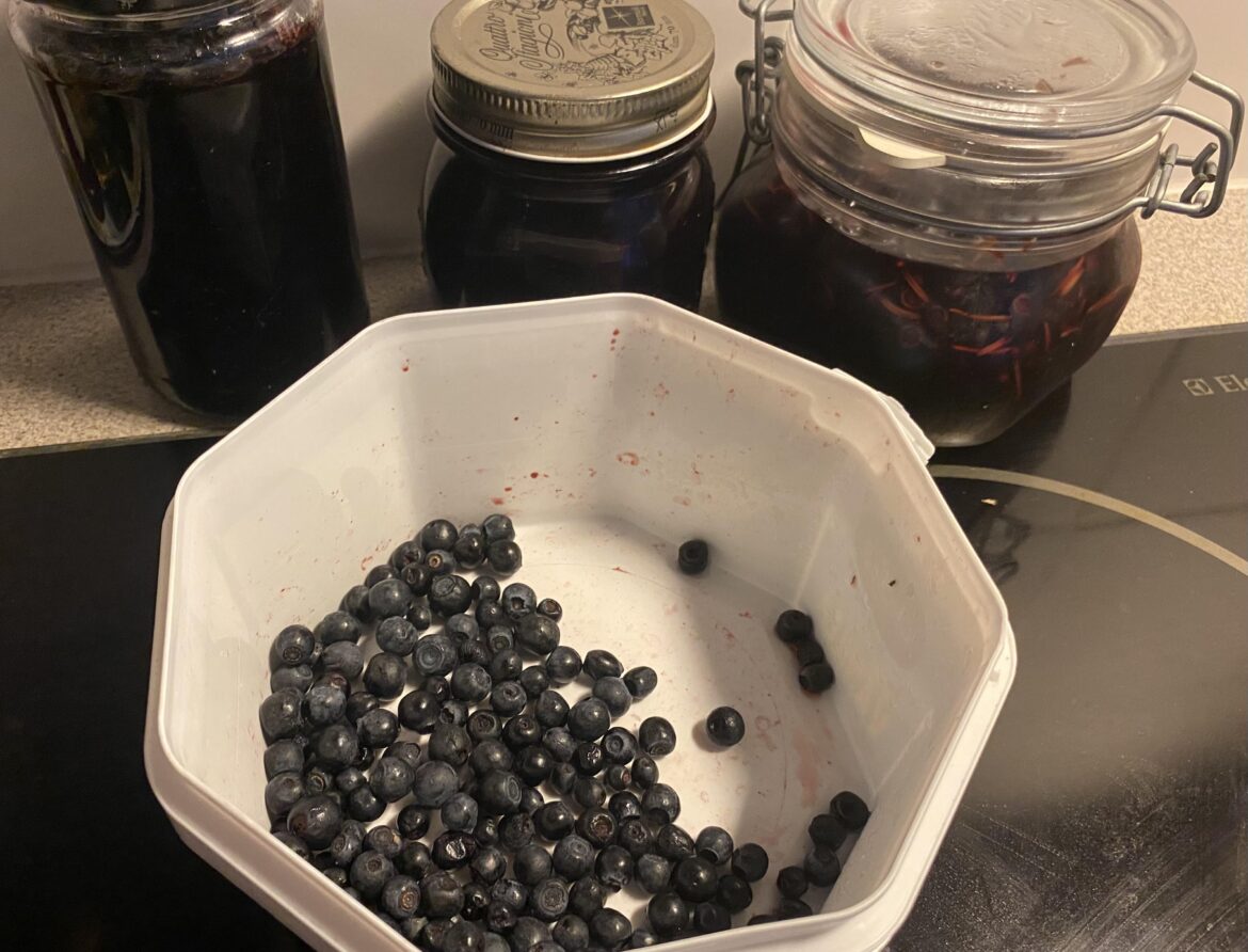 Wild blueberries