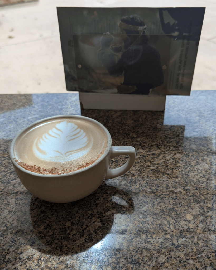 Reminded me of a Lilly pad...