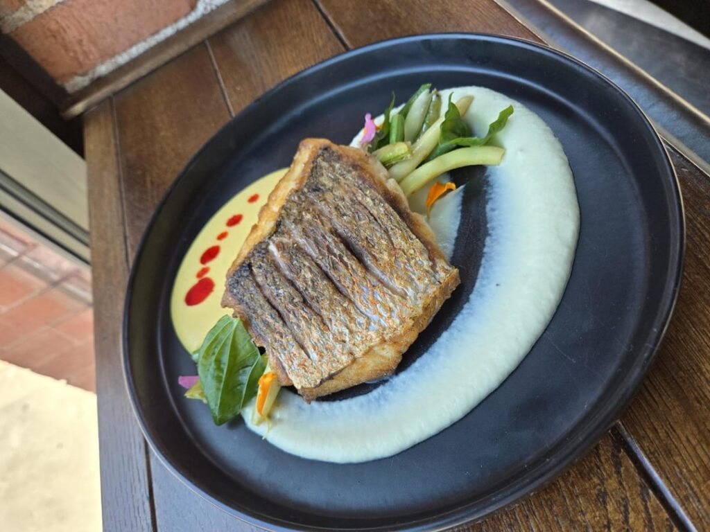 Red Snapper, Fennel Soubise, Smoked Peach Romesco w/ Guajillo Oil, Pole and Green Beans