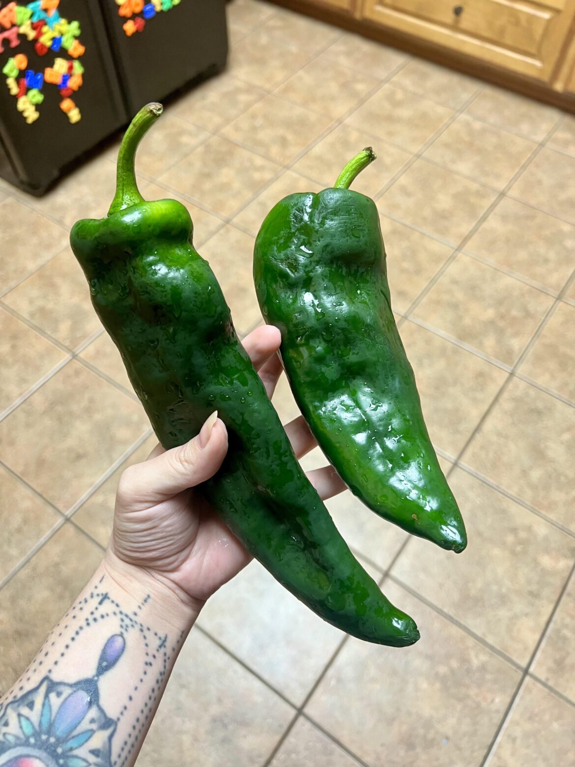 The biggest peppers HF has ever sent me