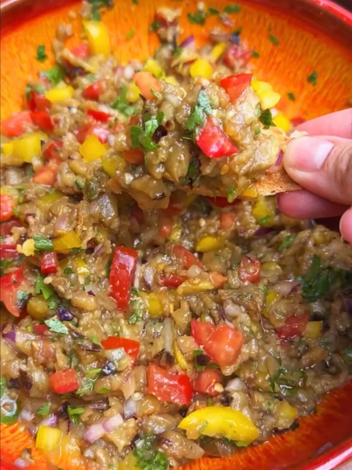 Easy Grilled Eggplant Salad