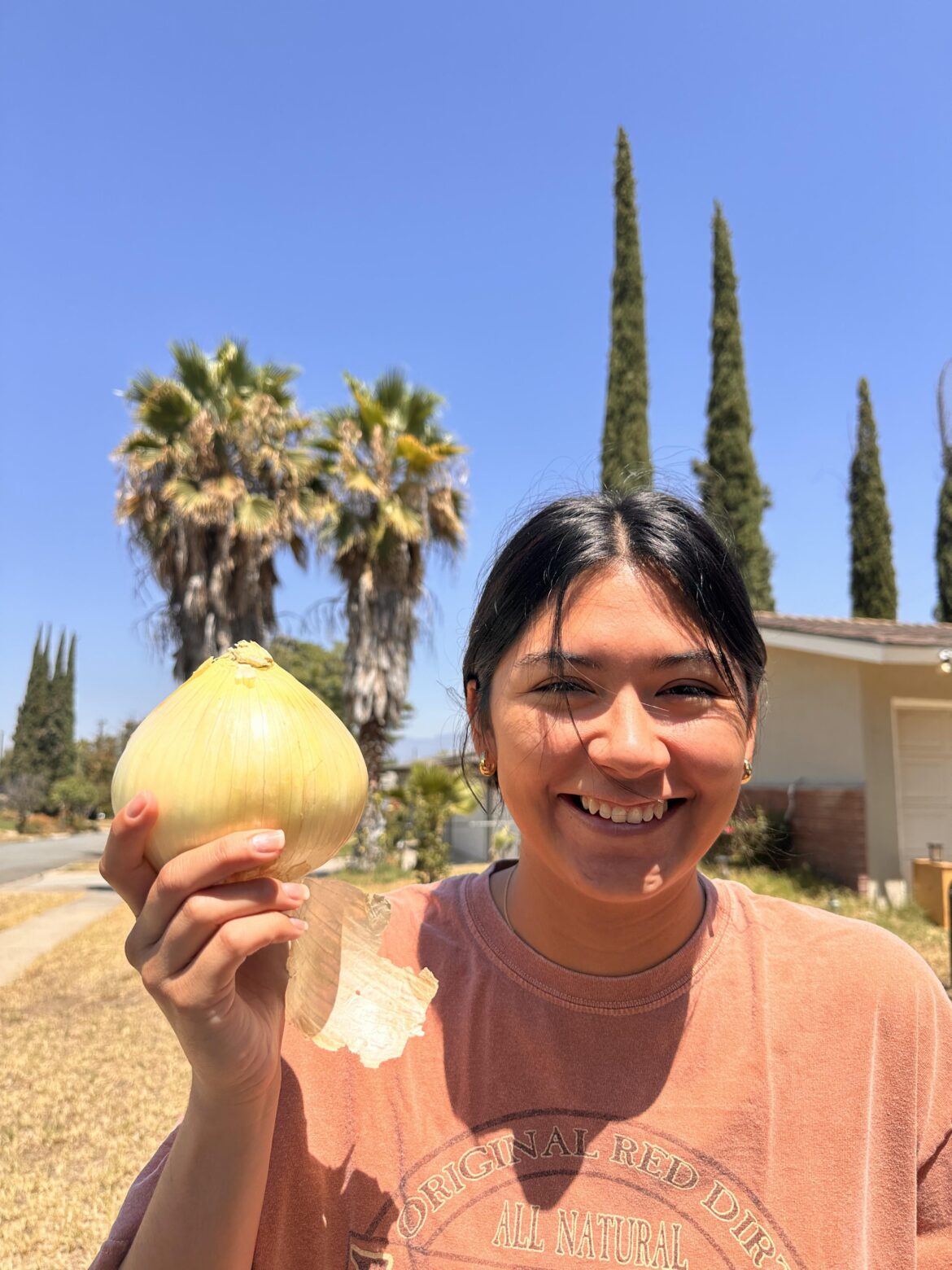 Big Onion