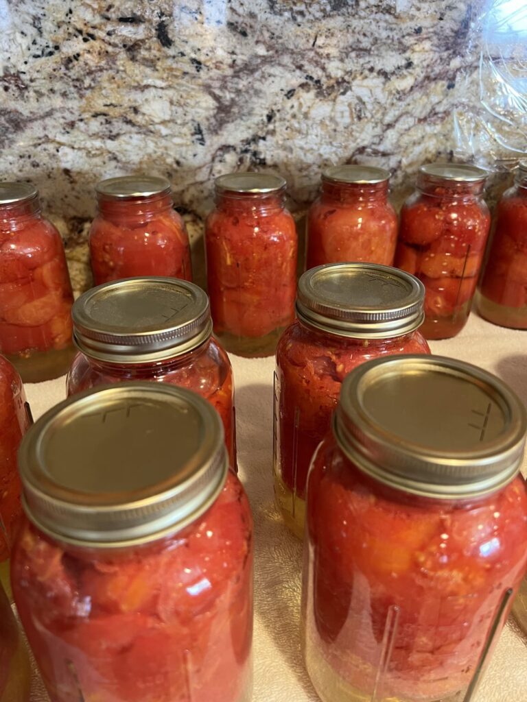 Canning Day: 50 Pounds of Garden Tomatoes