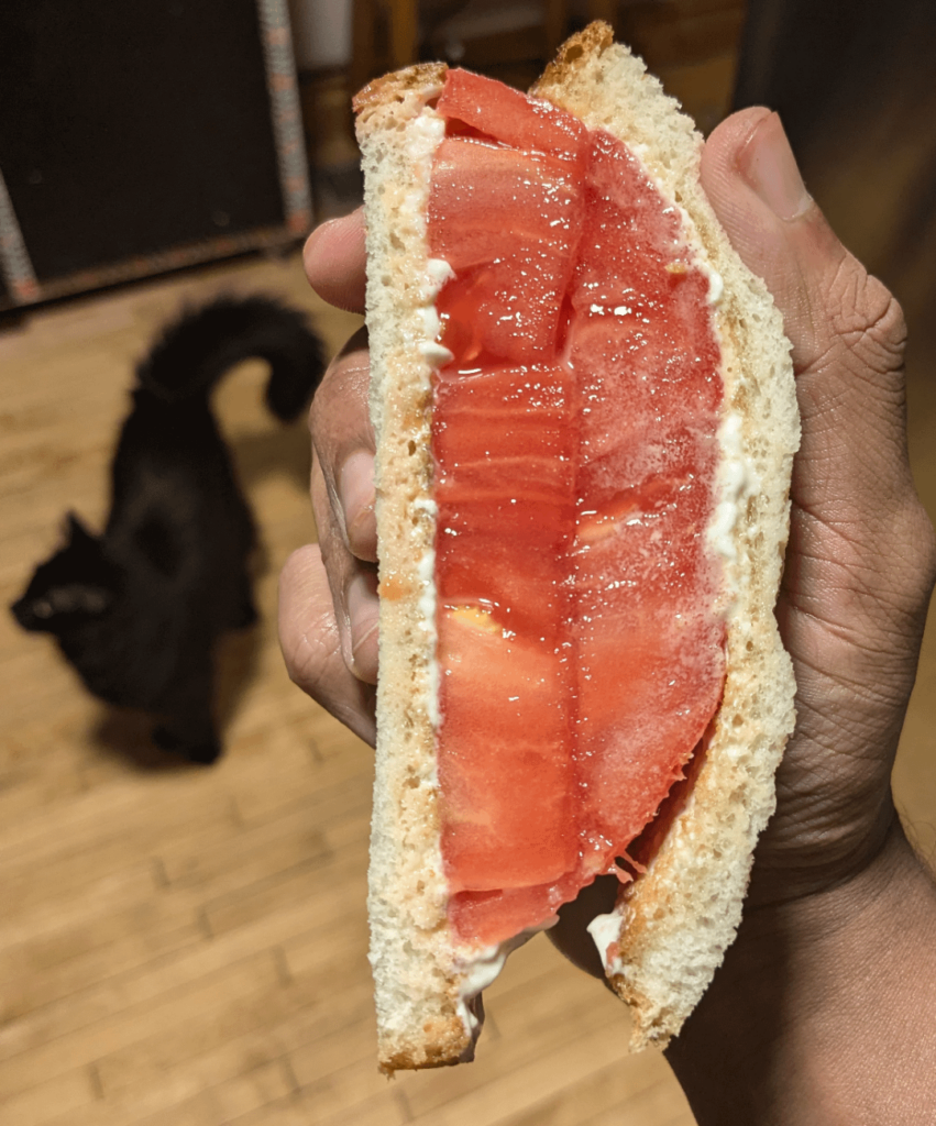 Kenji's tomato sandwich