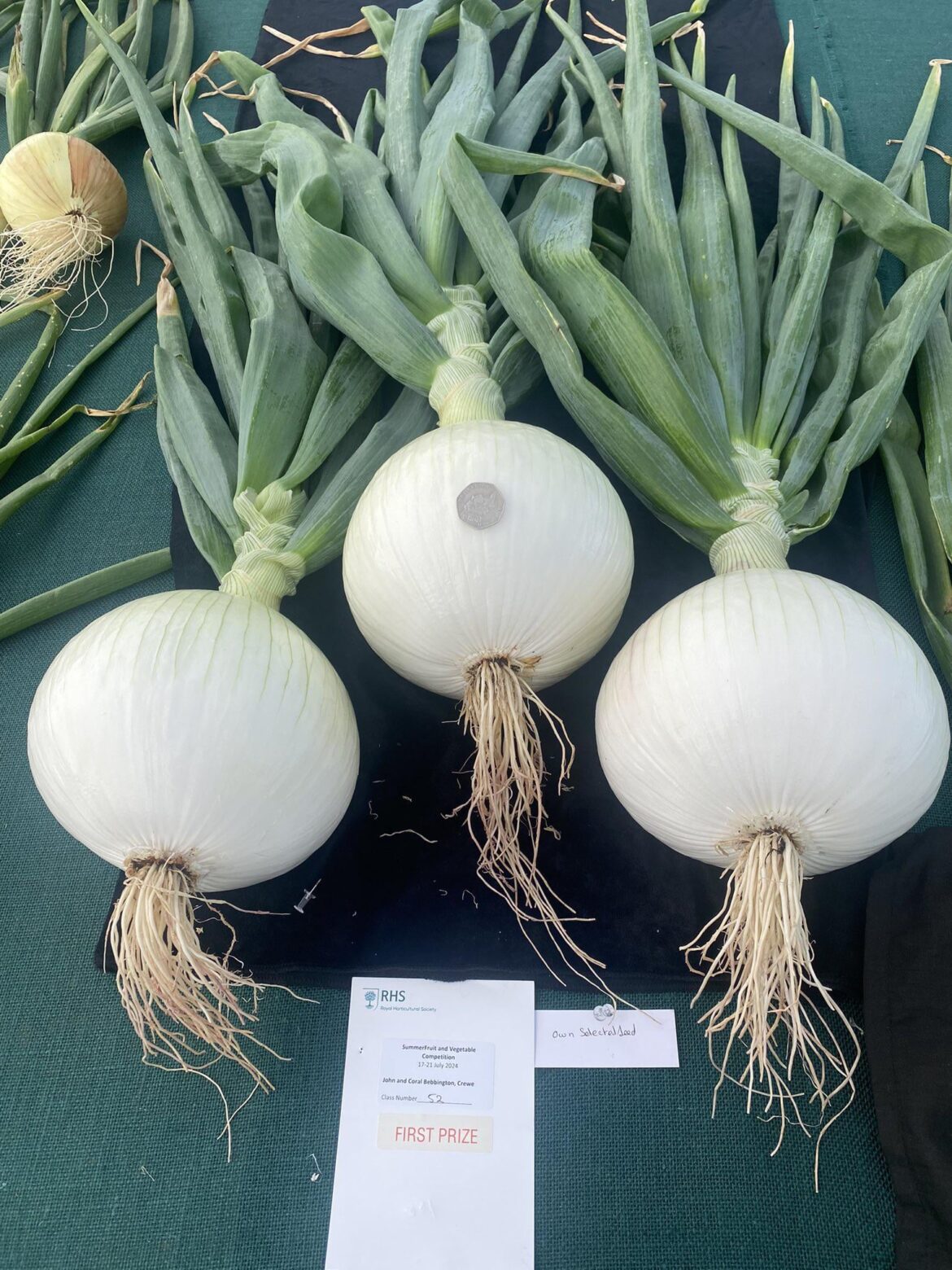 First Place Onions