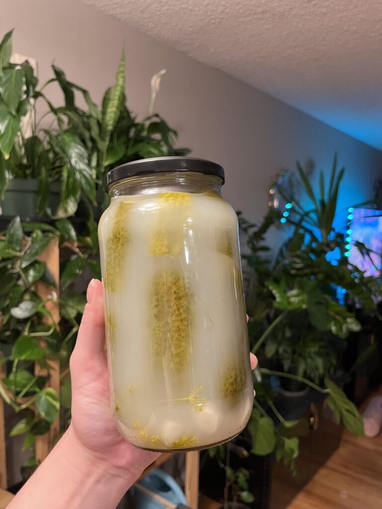 I was gifted these yesterday by a very sweet elderly couple I work with, but I’ve never seen cloudy dill pickles… What causes this, and is it safe to eat?