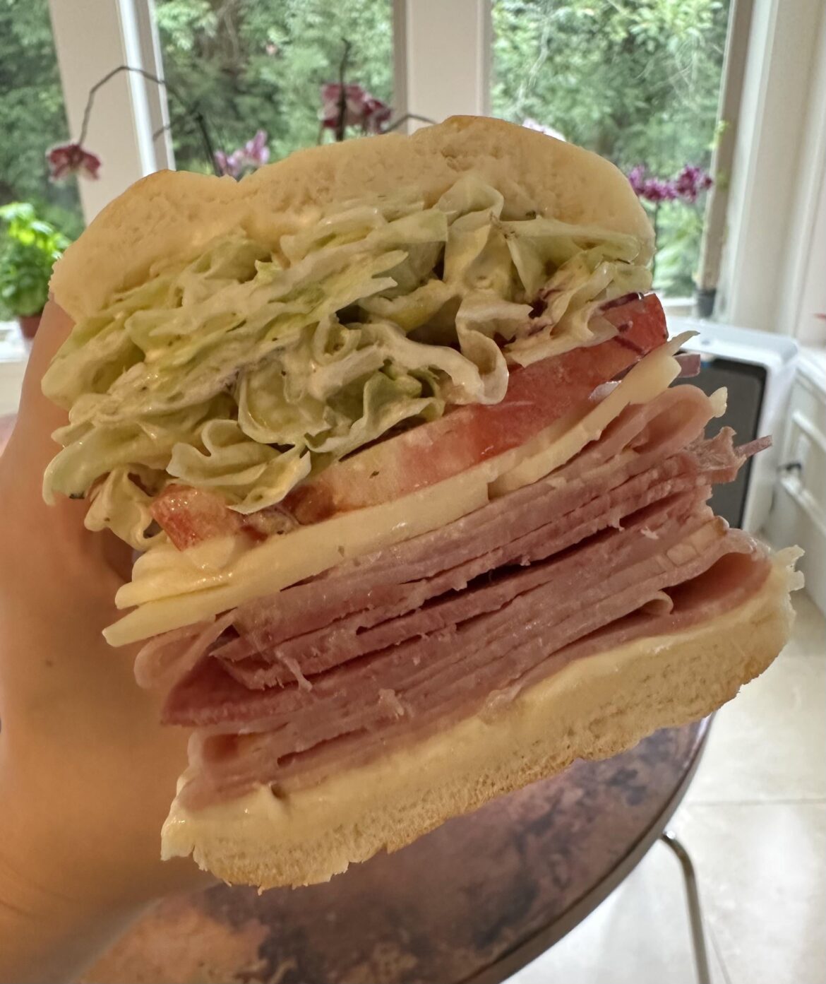 Just a nice big little sandwich I made for lunch today