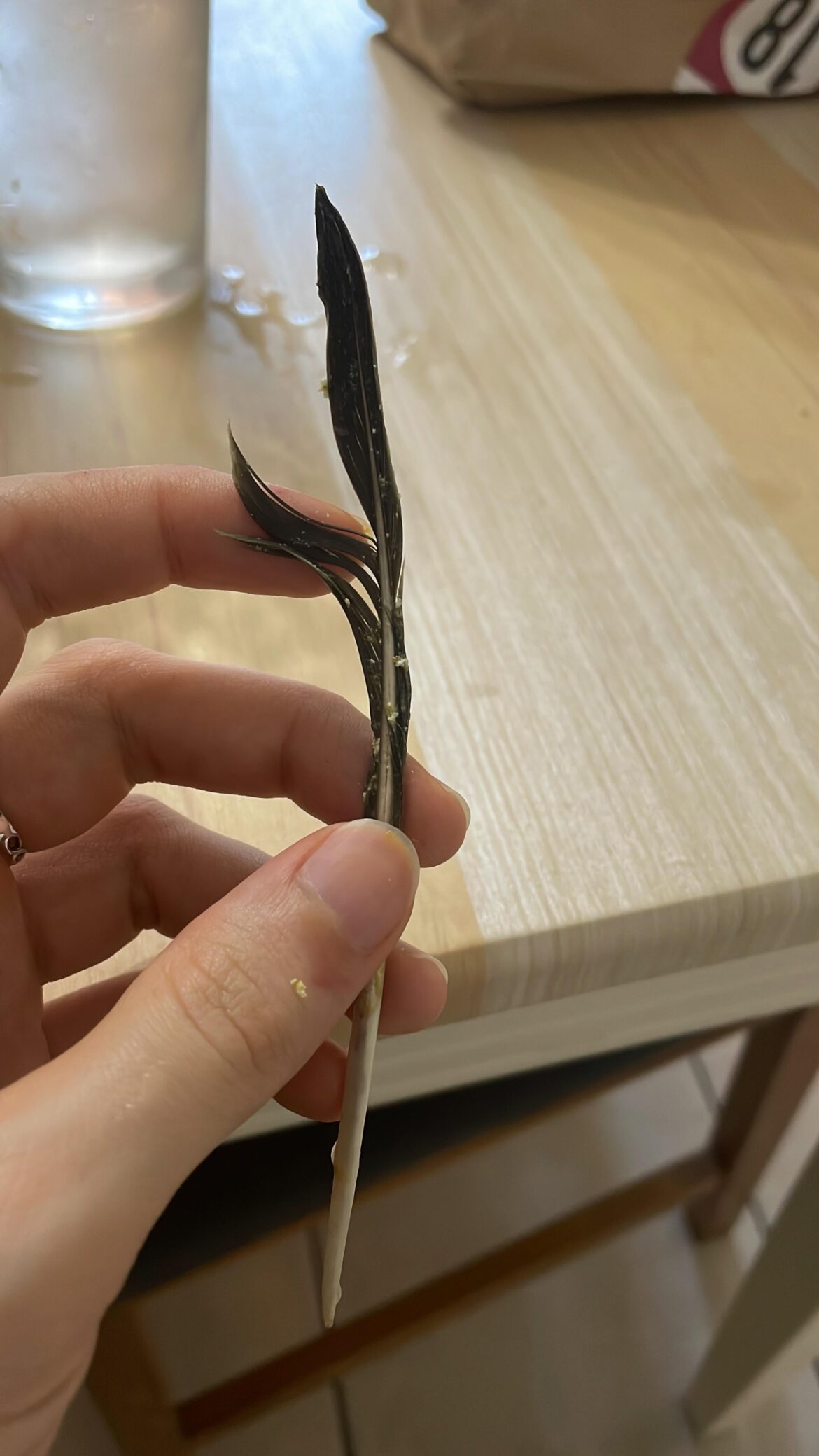 Salad isn’t Vegan… feather found