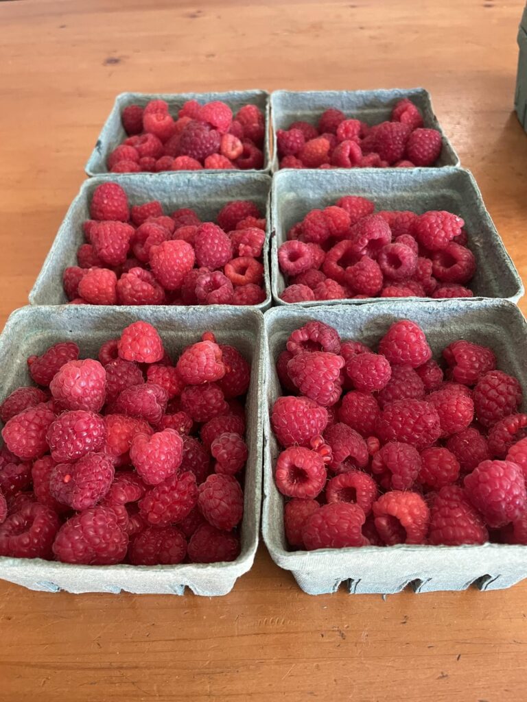 Canning for wedding Favors Canning for wedding Favors