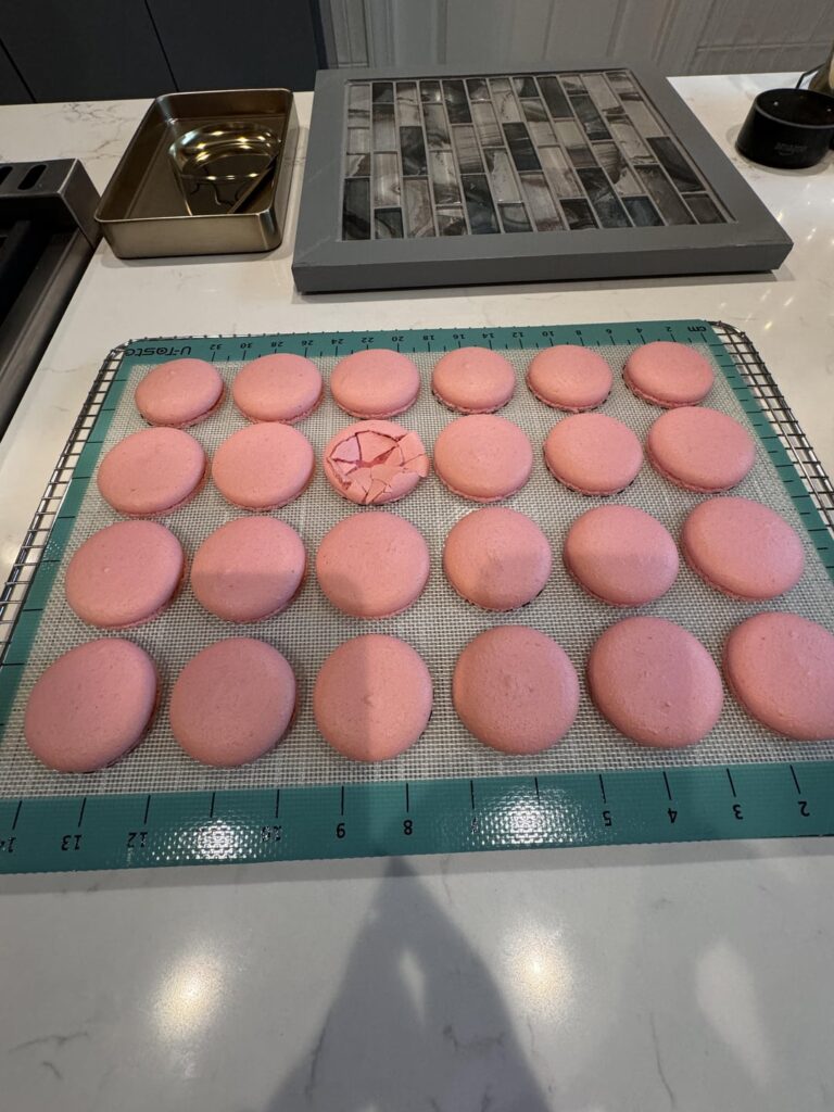 Kitty got mad I was concentrating on macarons.