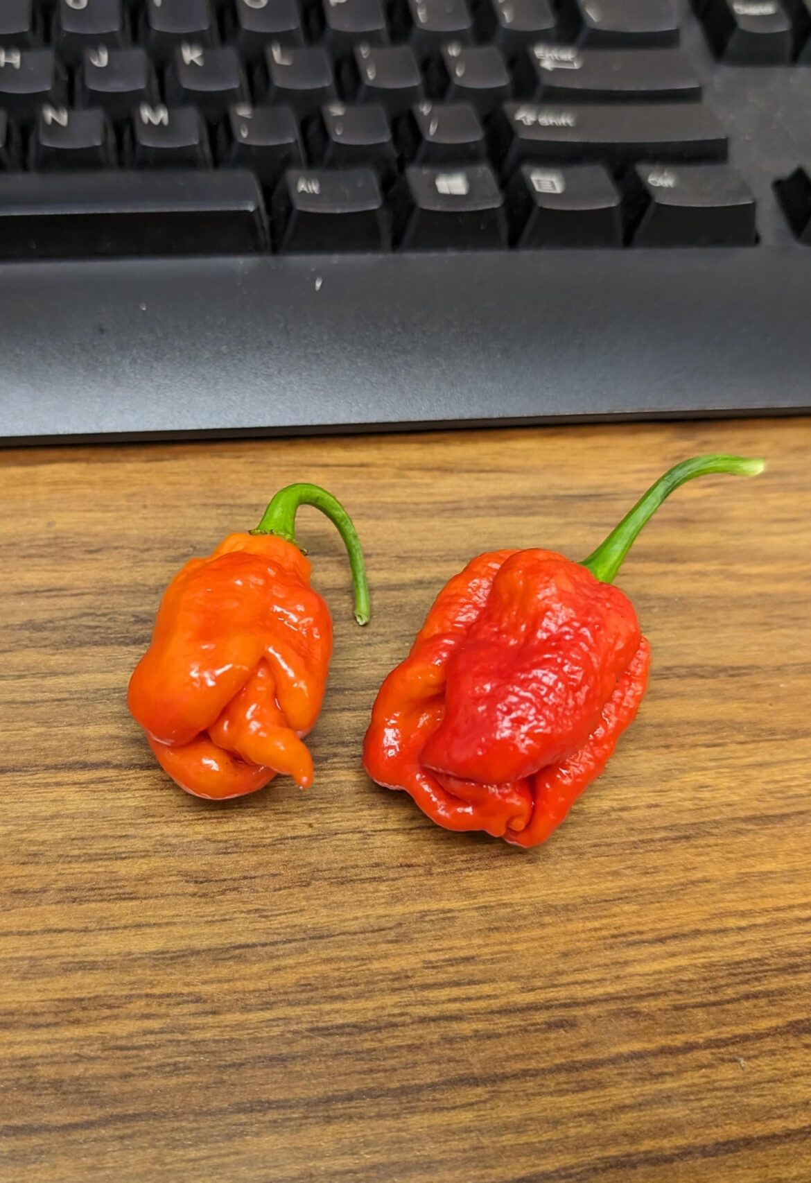 Gift for my coworker... I'm such a good friend.