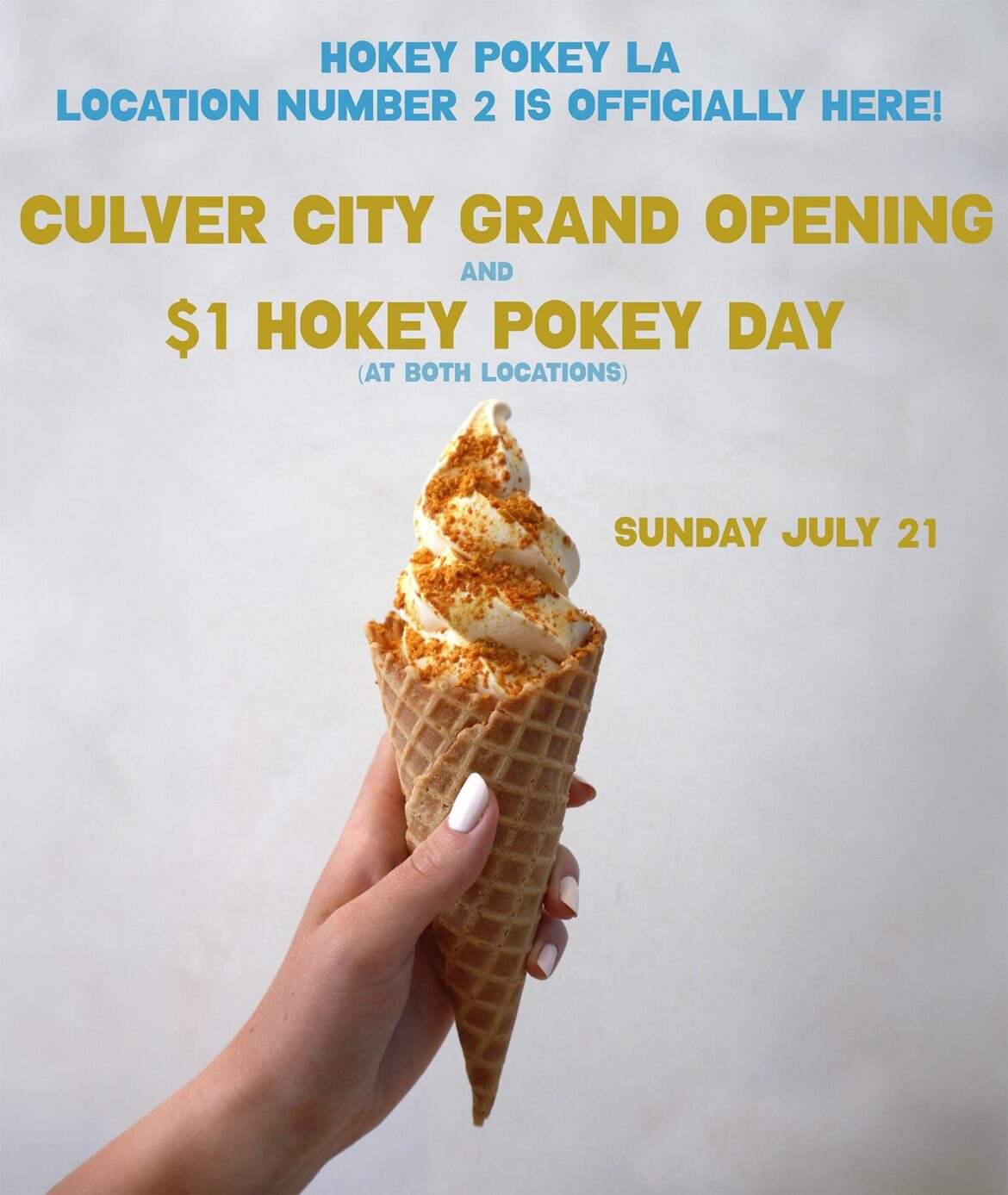 $1 Hokey Pokey Day