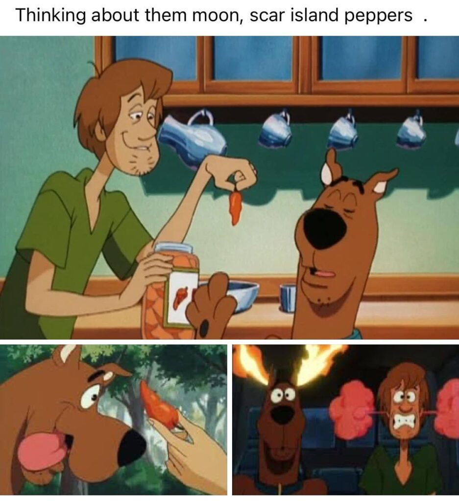 Core memory unlocked!