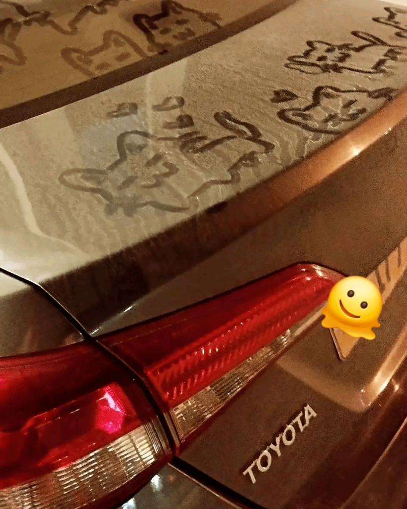 Hobbies out of nowhere..