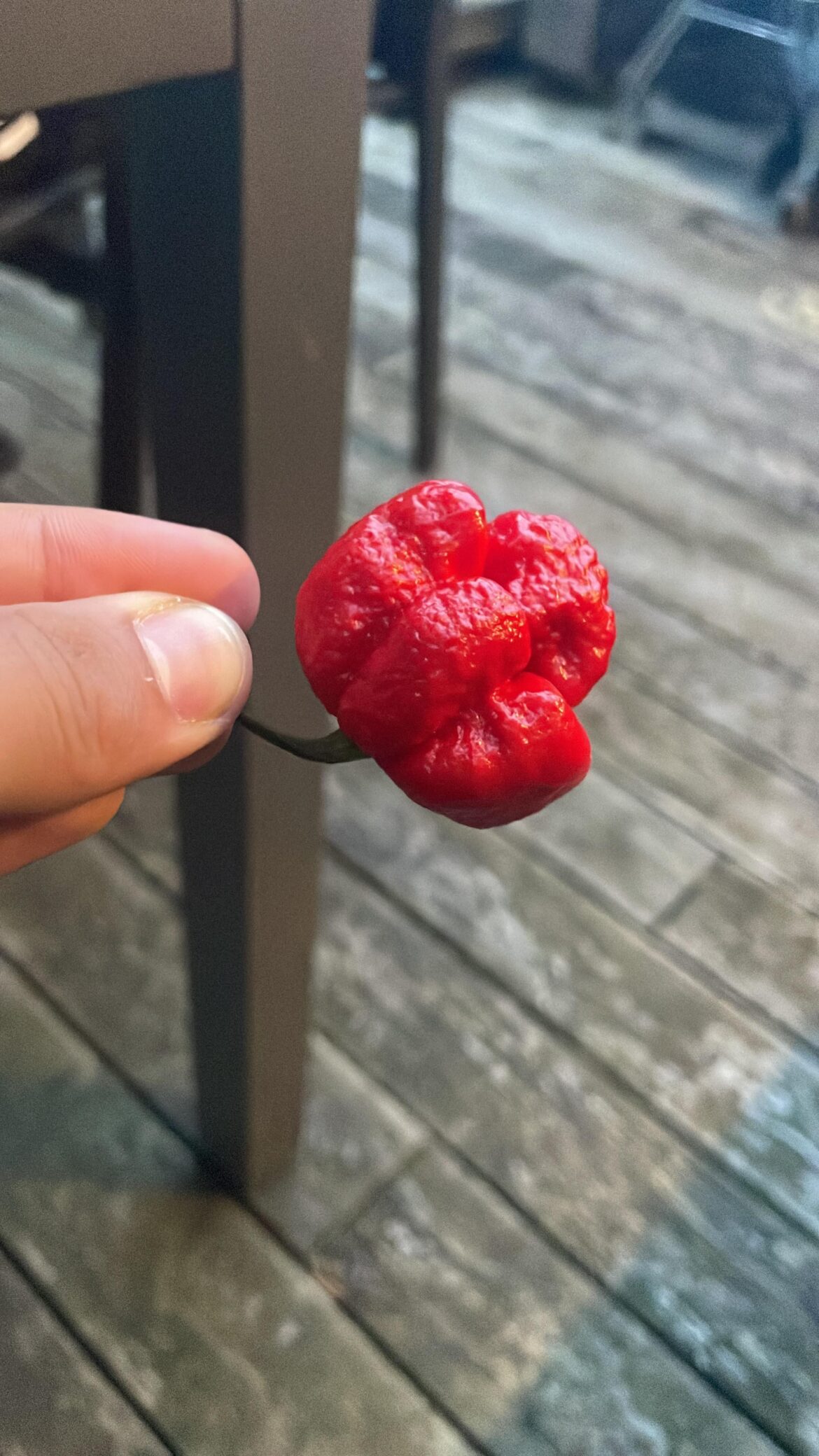 What kind of pepper is this?