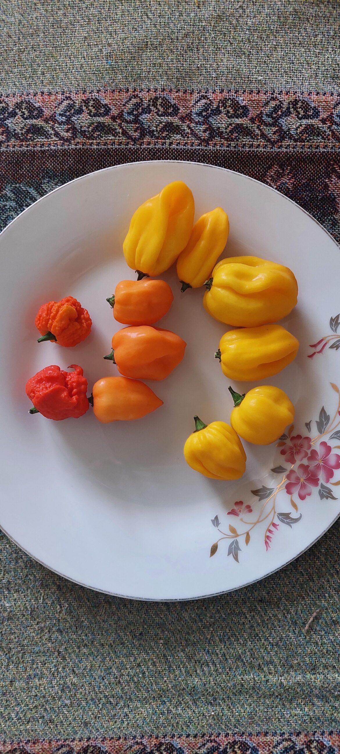 Identification please Identification please