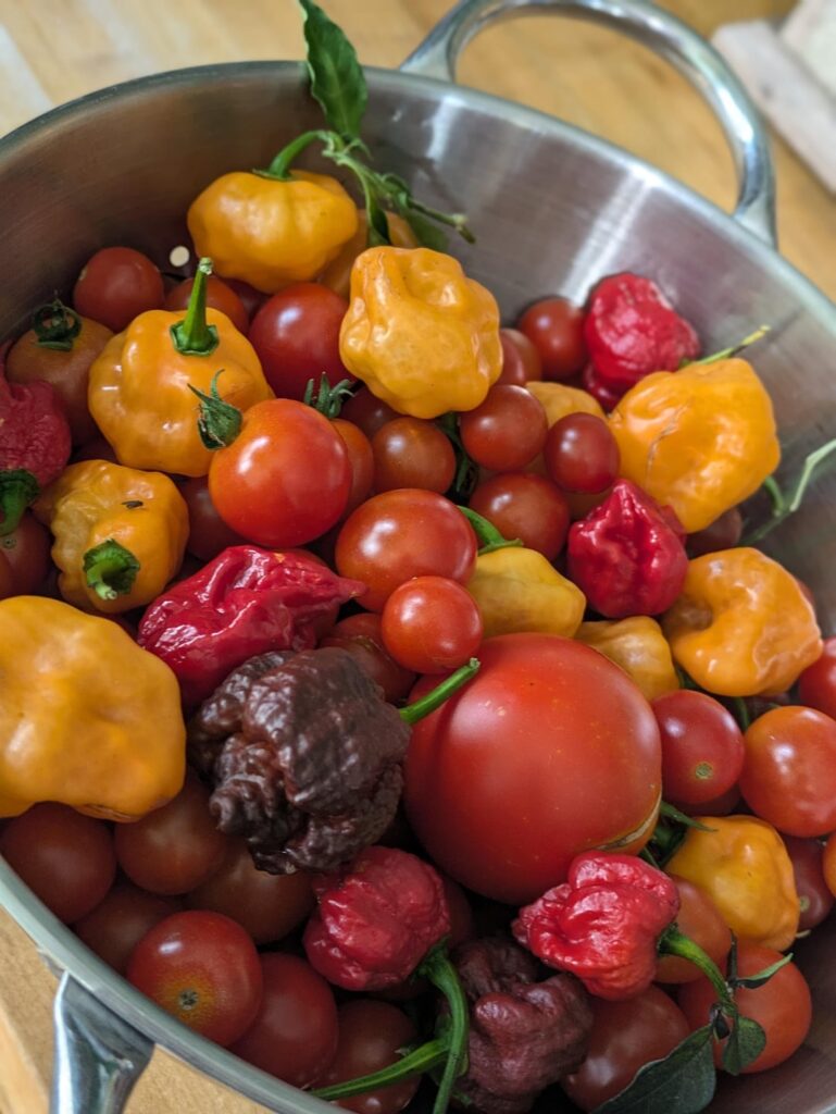 Garden is popping off.